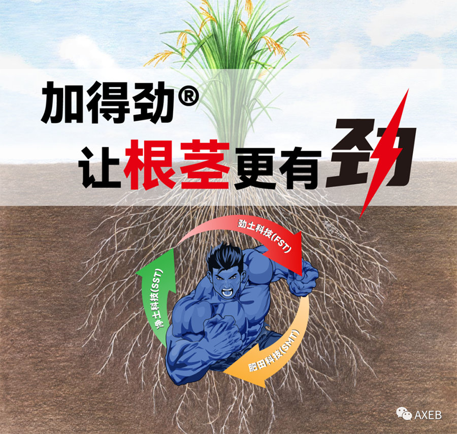 【劲根篇】加得劲®——让“根茎”更有劲